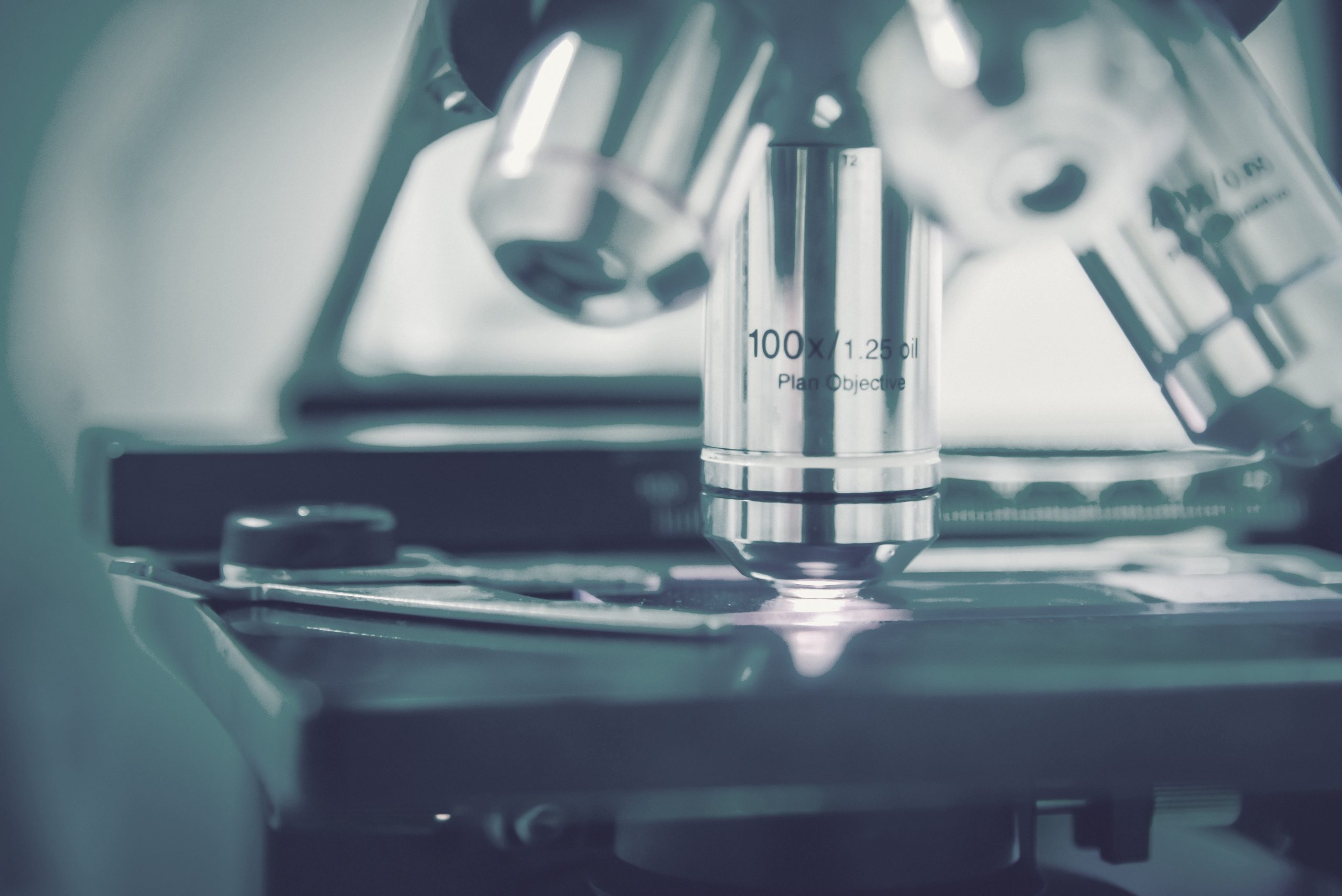 Close up  of test sample under the microscope in laboratory.